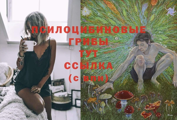 гашиш Абаза