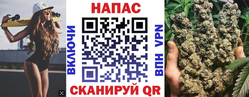 Бошки Шишки сатива  купить закладку  Новокузнецк 